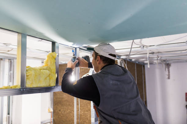 Best Batt and Roll Insulation  in Coto De Za, CA