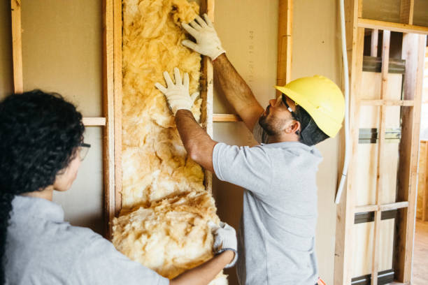 Types of Insulation We Offer in Coto De Caza, CA