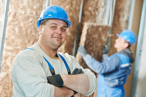 Best Basement Insulation  in Coto De Za, CA